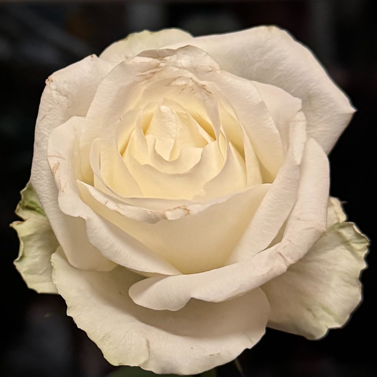 8. Dasein in SELBSTVERANTWORTUNG